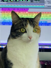 wpChatIcon